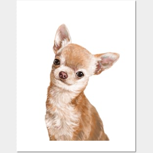 Chihuahua Posters and Art